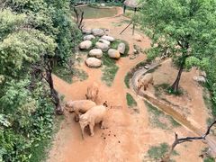 -广州长隆野生动物世界