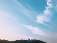 -羊山湖公园