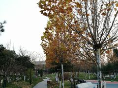 -东升文体公园