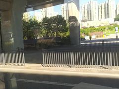 -李村大集