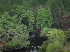 -上海滨江森林公园
