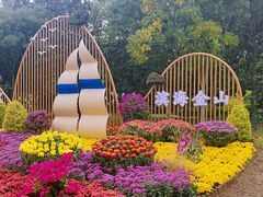 -上海共青森林公园