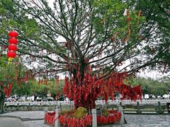 -南沙天后宫景区
