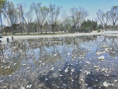 -郑东新区湿地公园