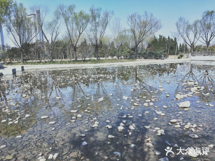 郑东新区湿地公园图片