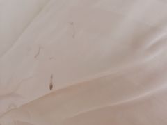 -哈尔滨香格里拉大酒店