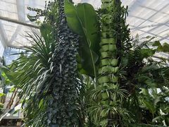 -国家植物园南园