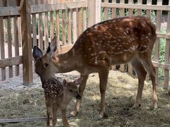 -水上乐园·欢乐世界