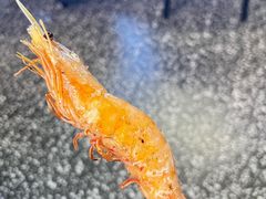 烤大虾-曹掌柜小酒馆烧烤集团(崂山同兴路店)