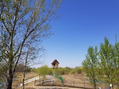 -东郊湿地公园