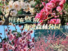 -上海海湾国家森林公园