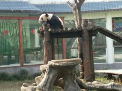 -南昌动物园