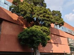 -南越王博物院(王宫展区)
