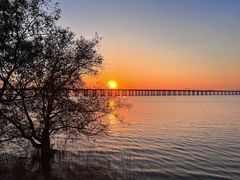 -宝安西湾红树林湿地公园