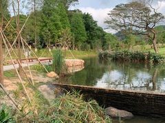-中山市树木园