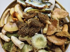 -七采菌园·野生菌石锅鱼(环城北路店)