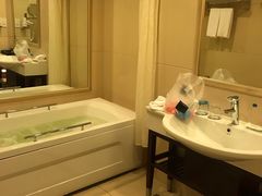 -重庆长寿碧桂园凤悦凤凰酒店