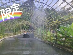 -海南槟榔谷黎苗文化旅游区