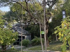 -广州神农草堂中医药博物馆