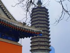 -西海子公园