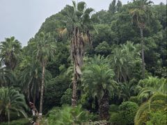 -圣爵菲斯大酒店(长沙世界之窗店)