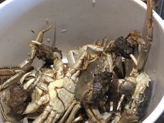 -川骄海鲜自助(河东店)