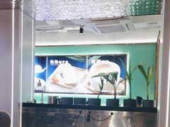 -探窝·竹笙椰子鸡(杨箕店)
