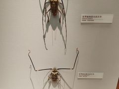 -天津自然博物馆