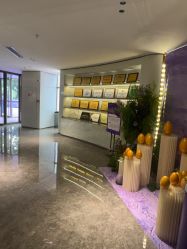 -广州美莱医疗美容医院