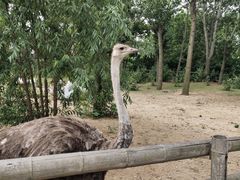 -大连森林动物园