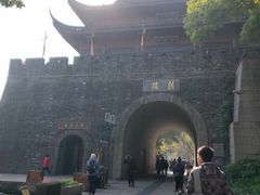 -孙奶奶葱包桧