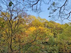 -杭州半山国家森林公园