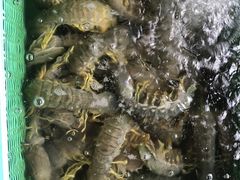 -灯笼馆海鲜餐厅