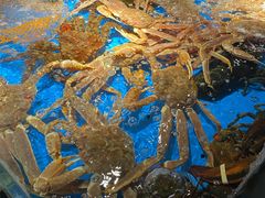 梭子蟹-徐记海鲜(南油永新汇店)