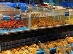 -青蓬蒸汽海鲜·深圳老字号·团建聚会(壹方城店)