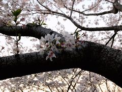 -上海体育场(地铁站)