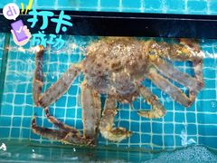 -琼大师东方烤乳猪(亚特兰蒂斯店)