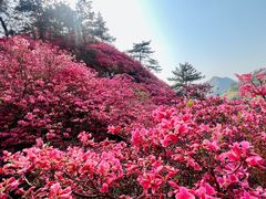 -木兰云雾山