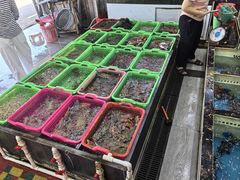 -众味海鲜大排档·活海鲜·潮汕味(南澳店)
