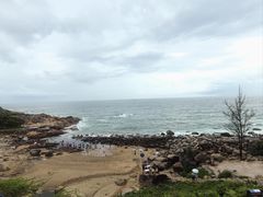-广东惠东海龟国家级自然保护区