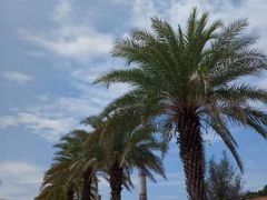 -玫瑰海岸文化旅游度假区