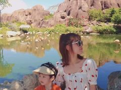 -芽庄珍珠岛游乐园