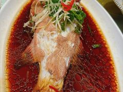 东星斑-绍兴饭店(大宁店)