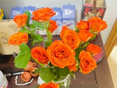 -循礼门鲜花花市(武汉循礼门店)