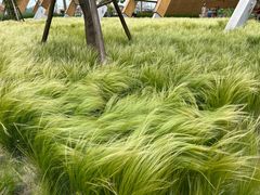 -中国天府农业博览园