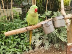 -南宫五洲植物乐园