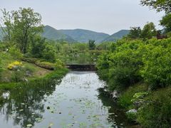 -雅达·阳羡溪山小镇中心