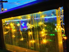 -冰冰龙虾·江湖菜·花园江景餐厅