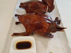 -侨美·唐荔园·40年地道粤菜