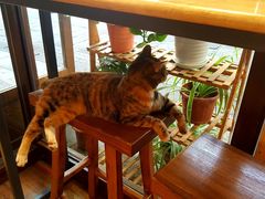 -猫的天空之城概念书店(杭州南宋御街店)